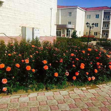 Hotel Ark Ms Taraz Ngoại thất bức ảnh
