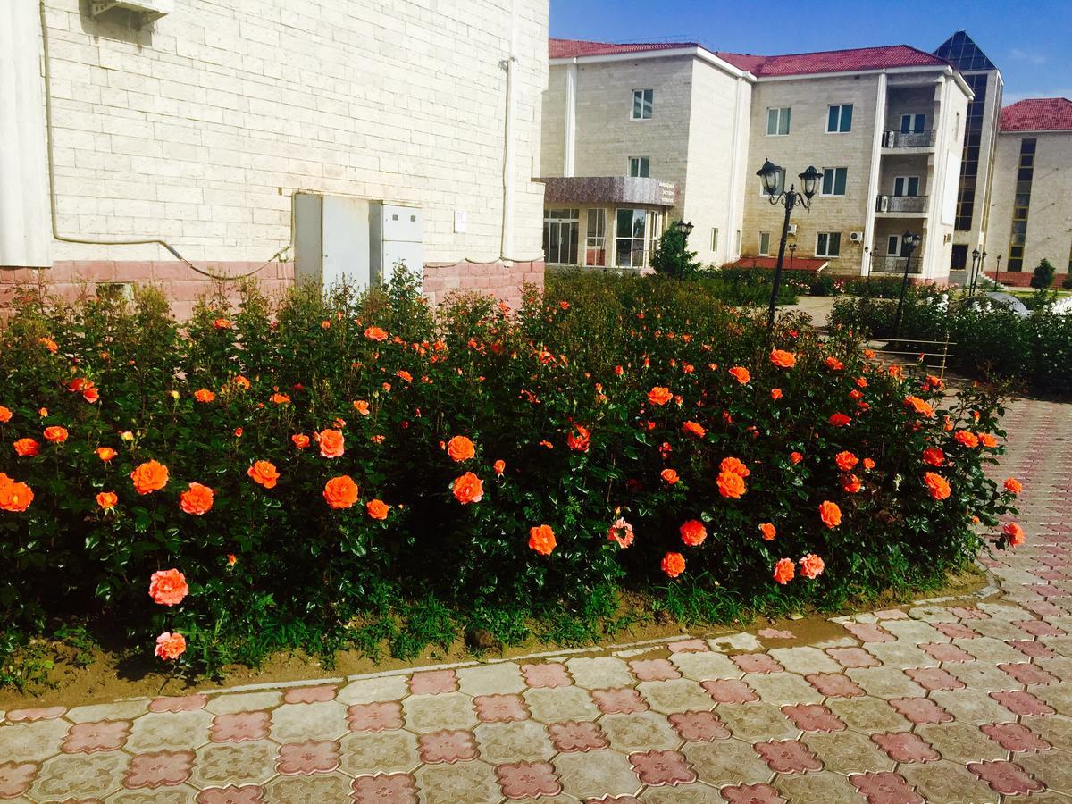 Hotel Ark Ms Taraz Ngoại thất bức ảnh